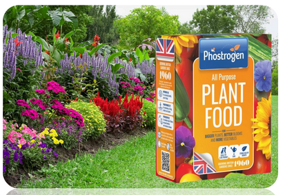 Phostrogen All Purpose Plant Food, 2Kg/200 Can - Plant And Edibles Fertiliser Feed