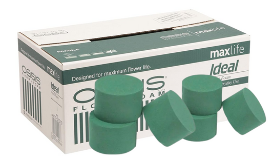 OASIS® Ideal Floral Foam Cylinders {Pack x 72}