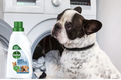 Dettol Pet Friendly Antibacterial Laundry Sanitiser, FRESH BREEZE 750ml