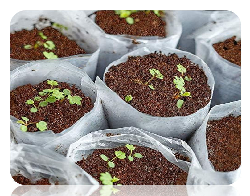 5kg Coir Potting Mix Brick | Expands to 75 Litre of 100% Natural Compost