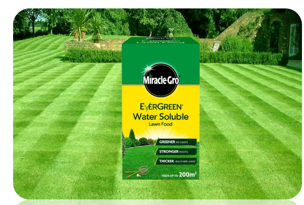 Miracle-Gro EverGreen Water Soluble Lawn Food 1kg