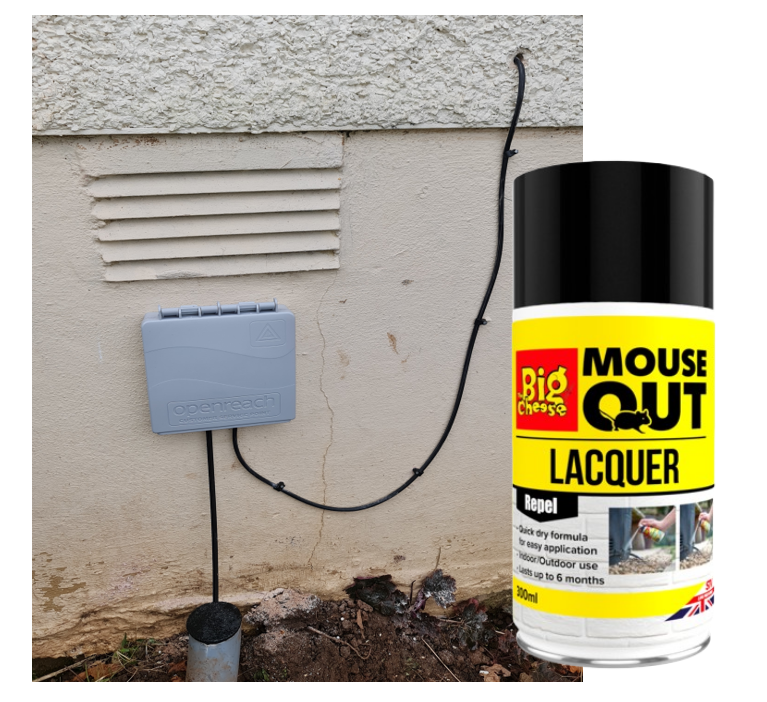 The Big Cheese Anti Mouse Lacquer €“ 300Ml Aerosol