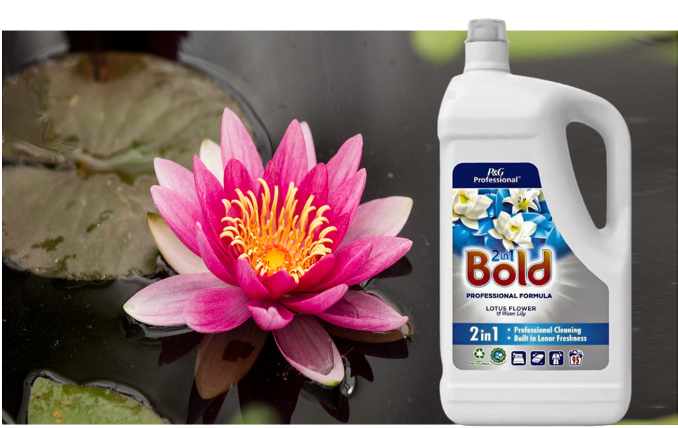 Bold Professional Lotus Flower Liquid 4.05L 90W