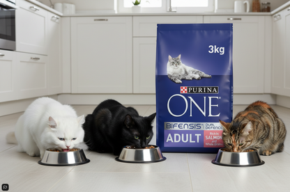 Purina ONE Adult Dry Cat Food Salmon & Wholegrain 3kg