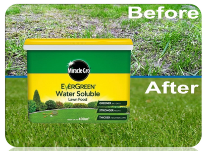 Miracle-Gro Water Soluble Lawn Food 2kg