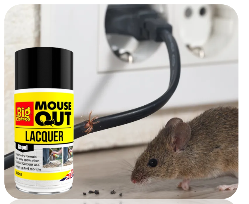 The Big Cheese Anti Mouse Lacquer €“ 300Ml Aerosol