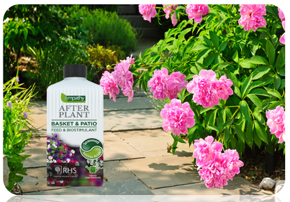 Empathy After Plant Basket and Patio Liquid Seaweed Feed 1 Litre Concentrate