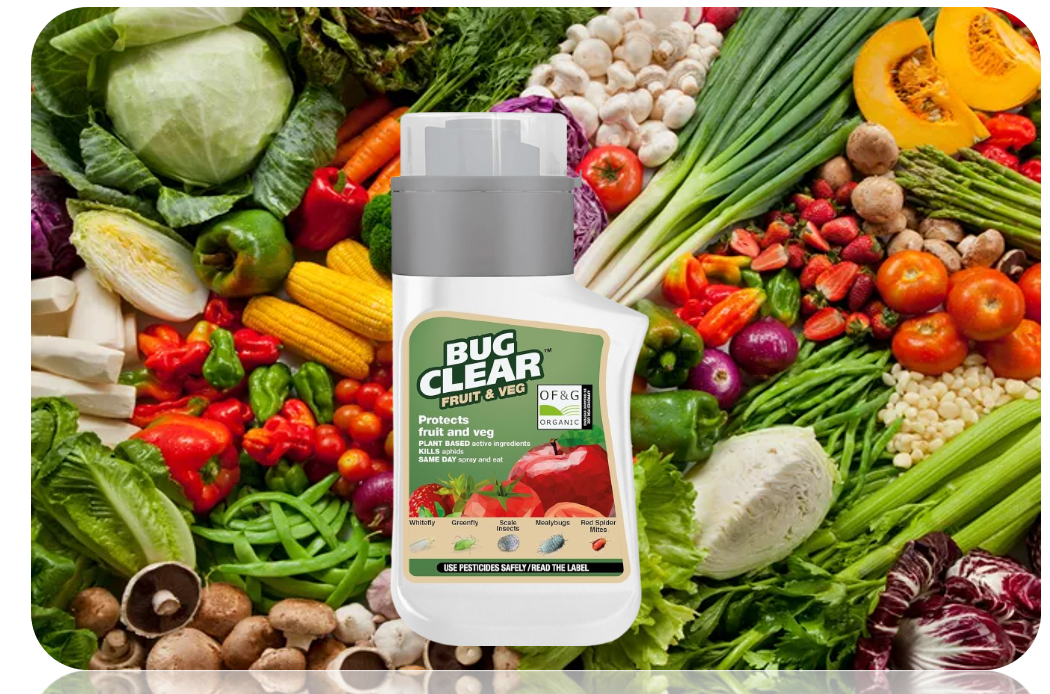 Bugclear Fruit And Veg Plant Protection Concentrate, 210ml = 10.5 Litre