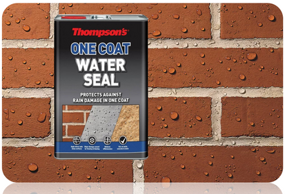 Ronseal Thompsons Water Seal 5 Litre Clear | Walls and Out Building Protection