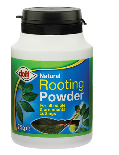 Doff Natural Rooting Powder 75g