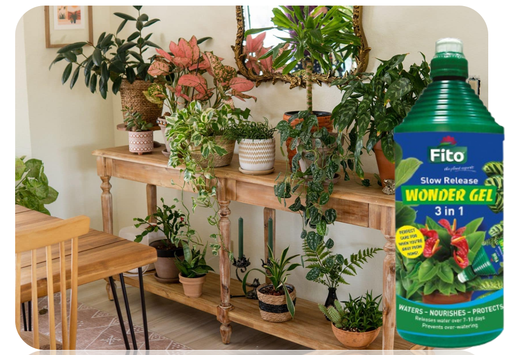 Fito FIT001 Slow Release Wonder Gel 3-In-1 | 1 Litre | Waters, Nourishes & Protects