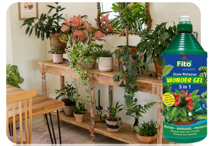 Fito FIT001 Slow Release Wonder Gel 3-In-1 | 1 Litre | Waters, Nourishes & Protects