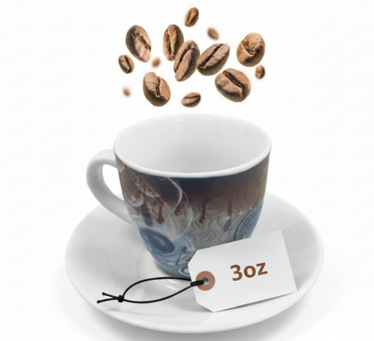 Fixtures Coffee Printed Design Espresso Cup & Saucer Set {12 Piece Set}