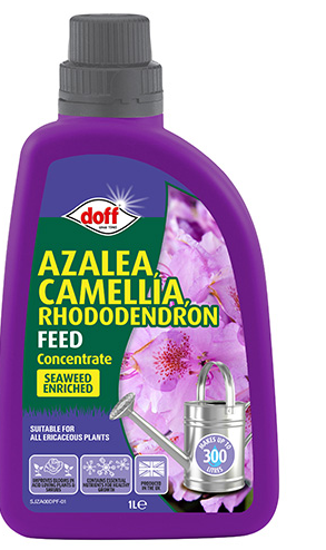 Doff Azalia, Camellia, Rhododendron Feed 1L