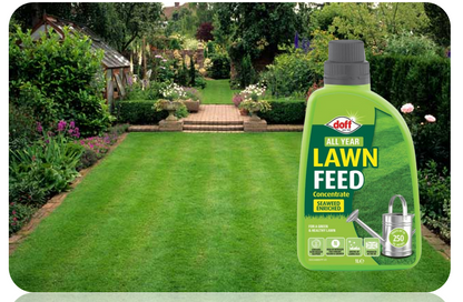 Doff All Year Lawn Feed | Highly Concentrated Liquid | 1L = 250m2 RTU Feed