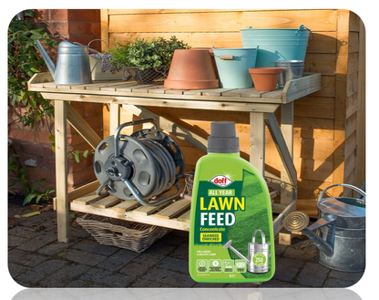 Doff All Year Lawn Feed | Highly Concentrated Liquid | 1L = 250m2 RTU Feed