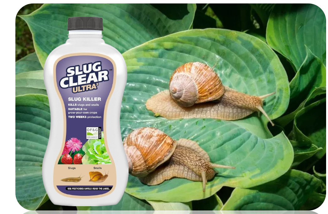 SlugClear Ultra 3 Pellets | For Slugs & Snails | 685g.