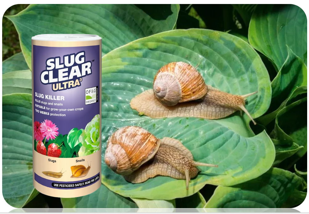 SlugClear Ultra 3 Pellets | For Slugs & Snails | 300g