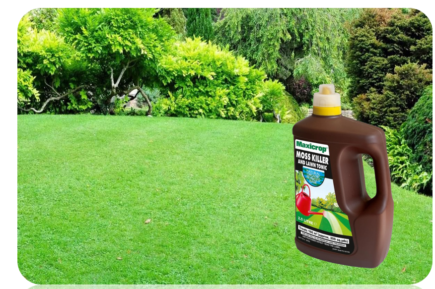 Maxicrop Moss Killer & Lawn Tonic, 2.5L