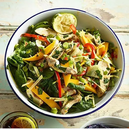 Falcon Enamel Roaster With Lid 26Cm - Single