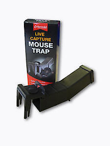 Rentokil Live Capture Mouse Traps Blister