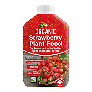 Organic Liquid Strawberry Feed