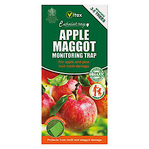 Apple Maggot Monitoring Trap