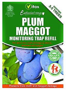 Plum Maggot Trap refill One