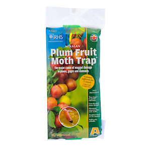 Plum Fruit Moth Trap