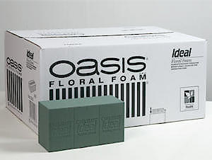 Oasis wet brick Pack 20's