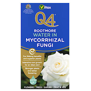 Q4 Rootmore Soluble 5 x 10g