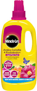 Miracle-Gro Azalea, Camellia & Rhododendron Concentrated Liquid Plant Food, 1 Litre