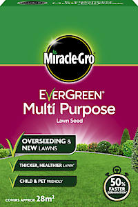 MG mpurp GRASS SEED 840GM