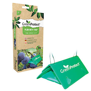 Grn Protect Plum Moth Trap