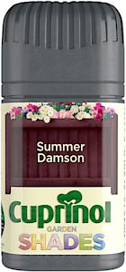 CX GS SUMMER DAMSON *Dis*