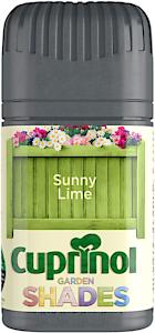 CX GS SUNNY LIME *Dis*