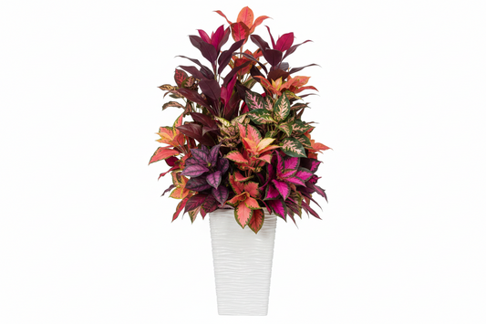 Fixtures Glaze Wave High Gloss LARGE Planter {White} Indoor or Outdoor