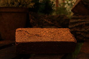 Coir Potting Mix Bricks  | 100% natural and biodegradable | 10 x650g