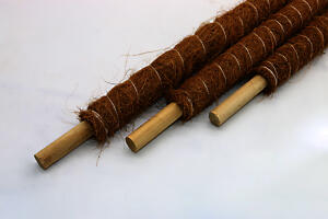 Moss Pole | Coir Grow Pole 140 Cm | Plant Support