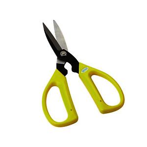 Economy Carbon Blade Scissors