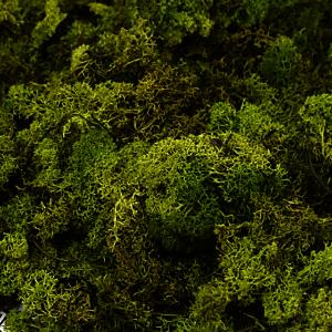 Oasis Finland Moss Dark Green