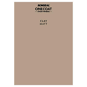 P&S ONE COAT EVERYWHERE CLAY