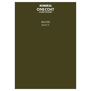 P&S ONE COAT EVERYWHERE OLIVE