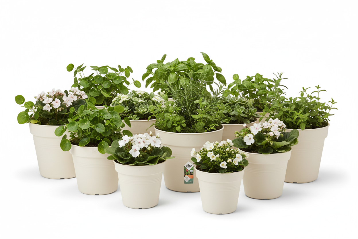 Elho Green Basics Grow Pot 13cm COTTON WHITE