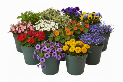 Elho Green Basics Grow Pot 13cm LEAF GREEN