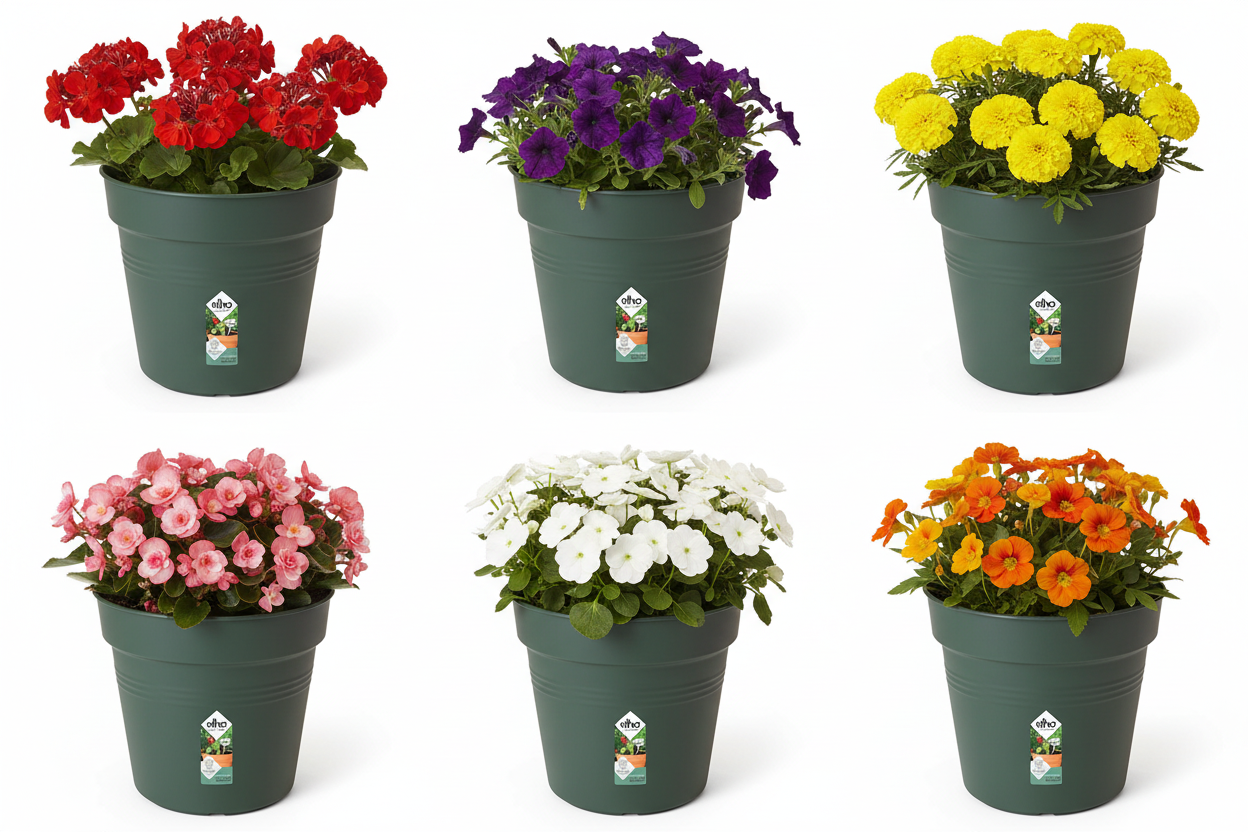 Elho Green Basics Grow Pot 19cm LEAF GREEN
