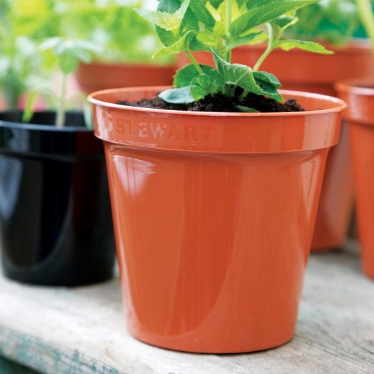 Stewart Garden 30.5cm (12inch) Flower Pots Terracotta - NWT FM SOLUTIONS