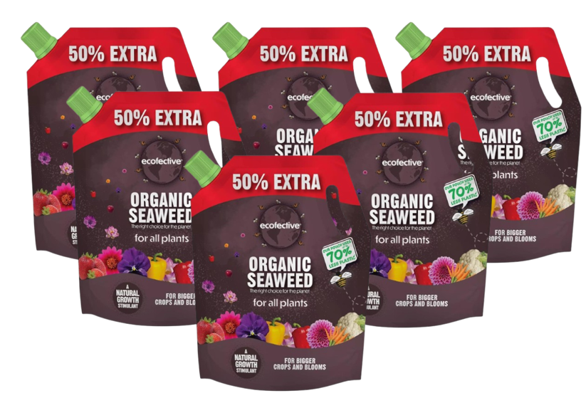 Ecofective Organic Liquid Seaweed For All Plants, (50% Extra), 1.2L Pouch