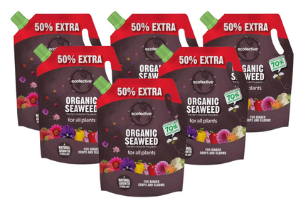 Ecofective Organic Liquid Seaweed For All Plants, (50% Extra), 1.2L Pouch