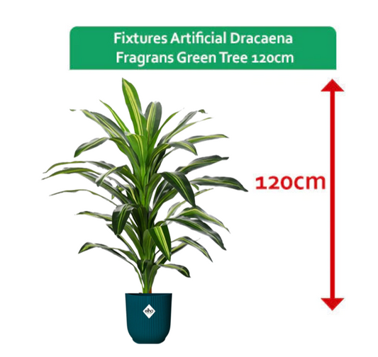 Fixtures Artificial Dracaena Fragrans Green Tree Approx 120cm